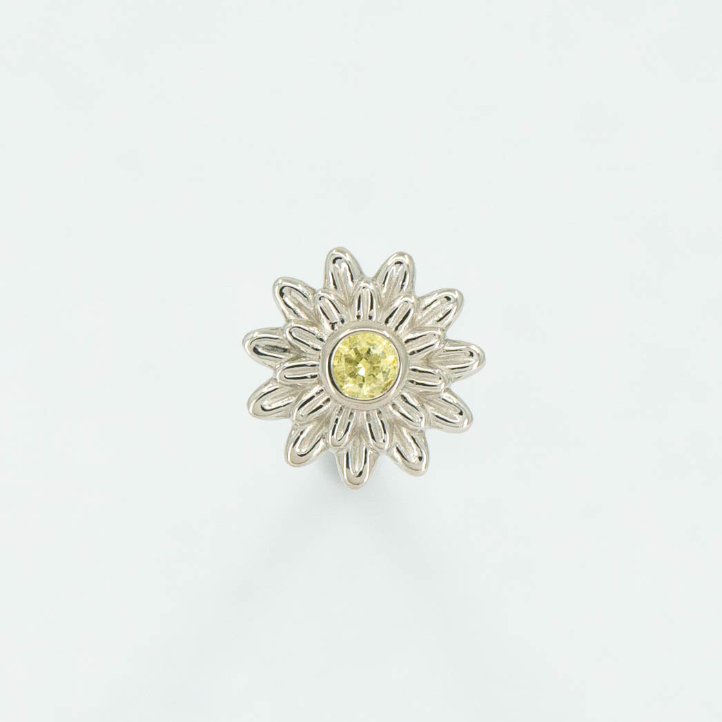 Chrysanthemum