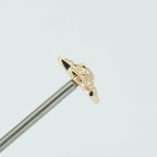 Compass Rose Cabachon