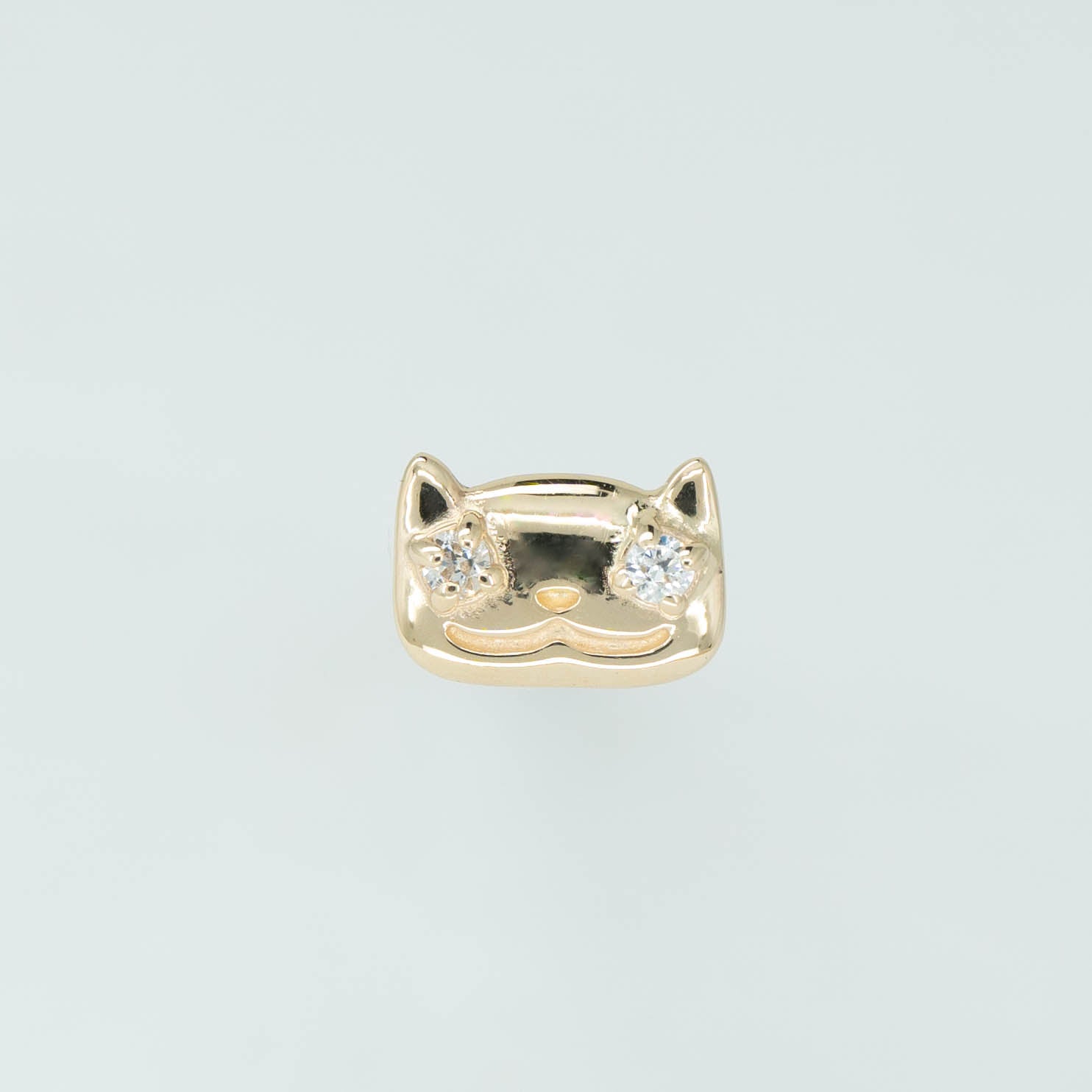 Cute Cat