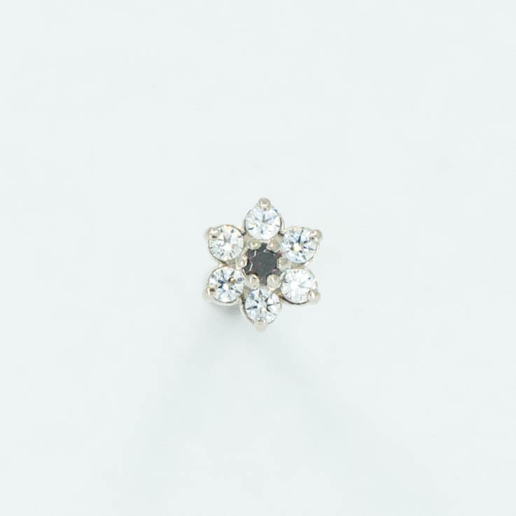 Daisy 1.5
