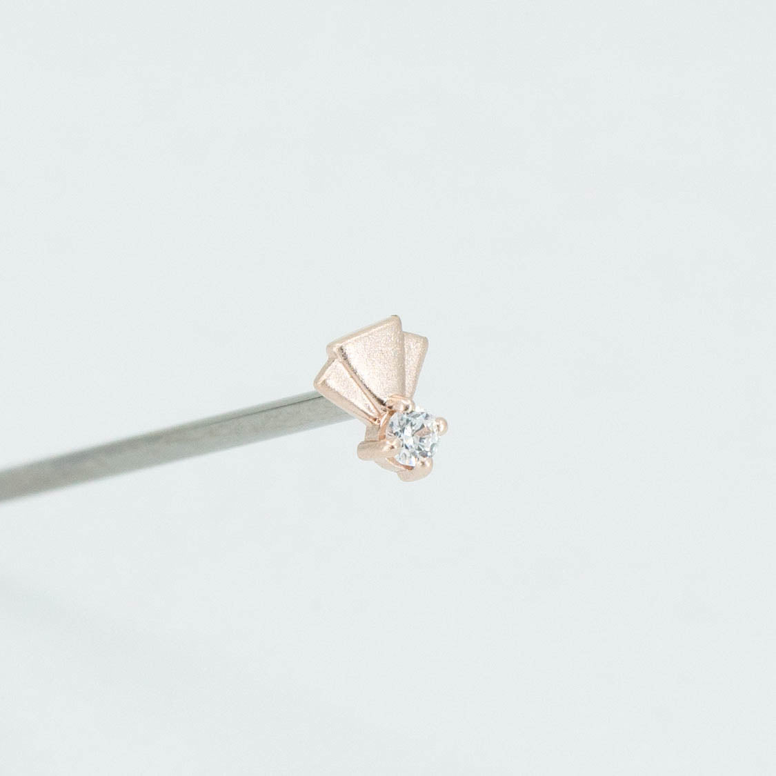 Andromeda Prongs