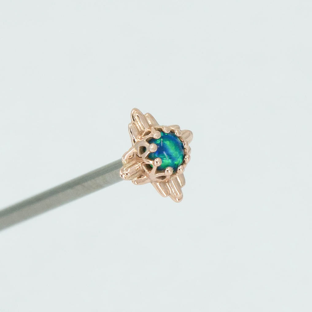 Desert Crown Prong