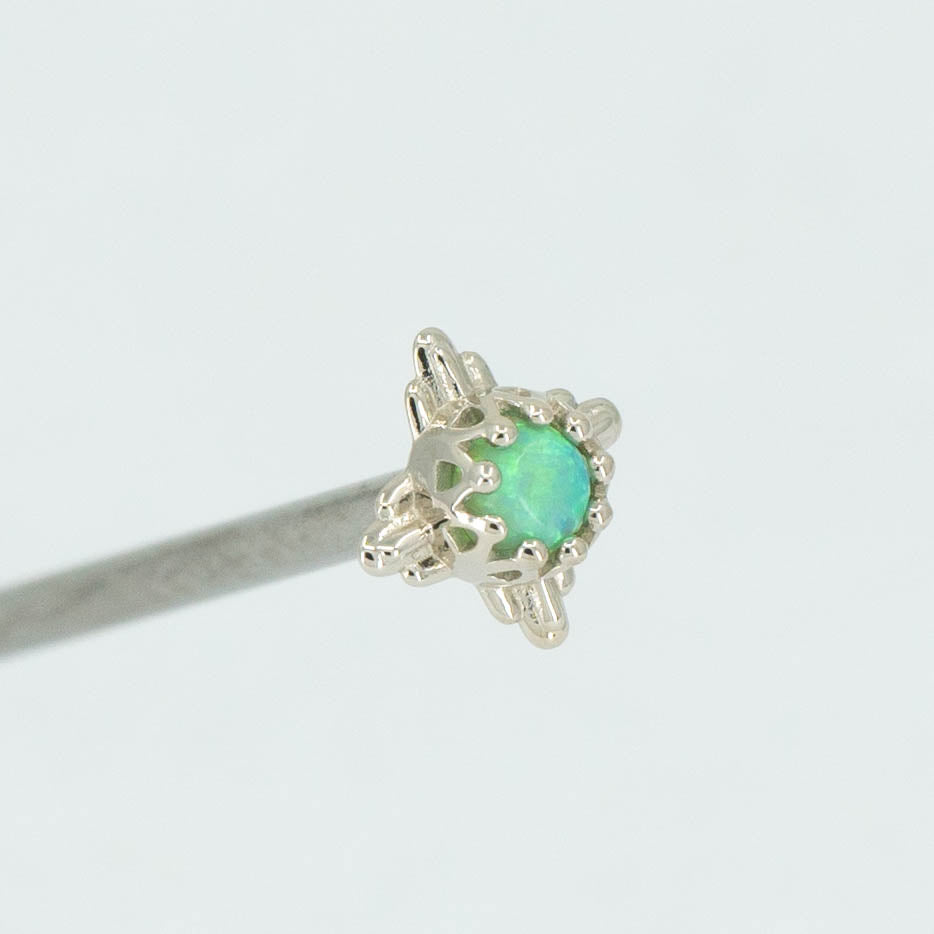 Desert Crown Prong