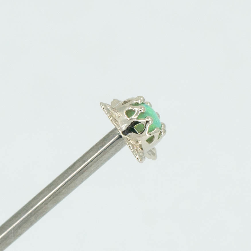 Desert Crown Prong