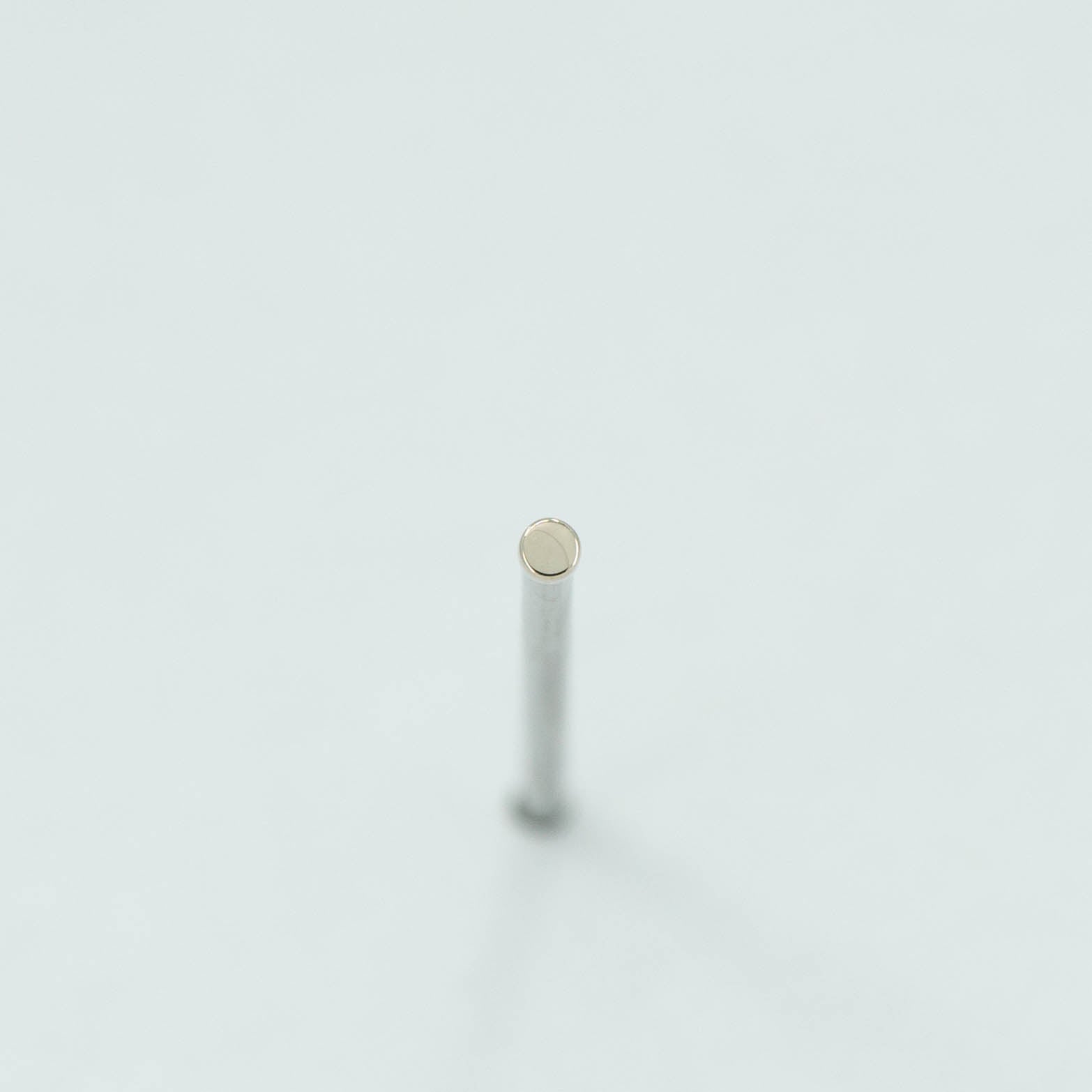 Disk