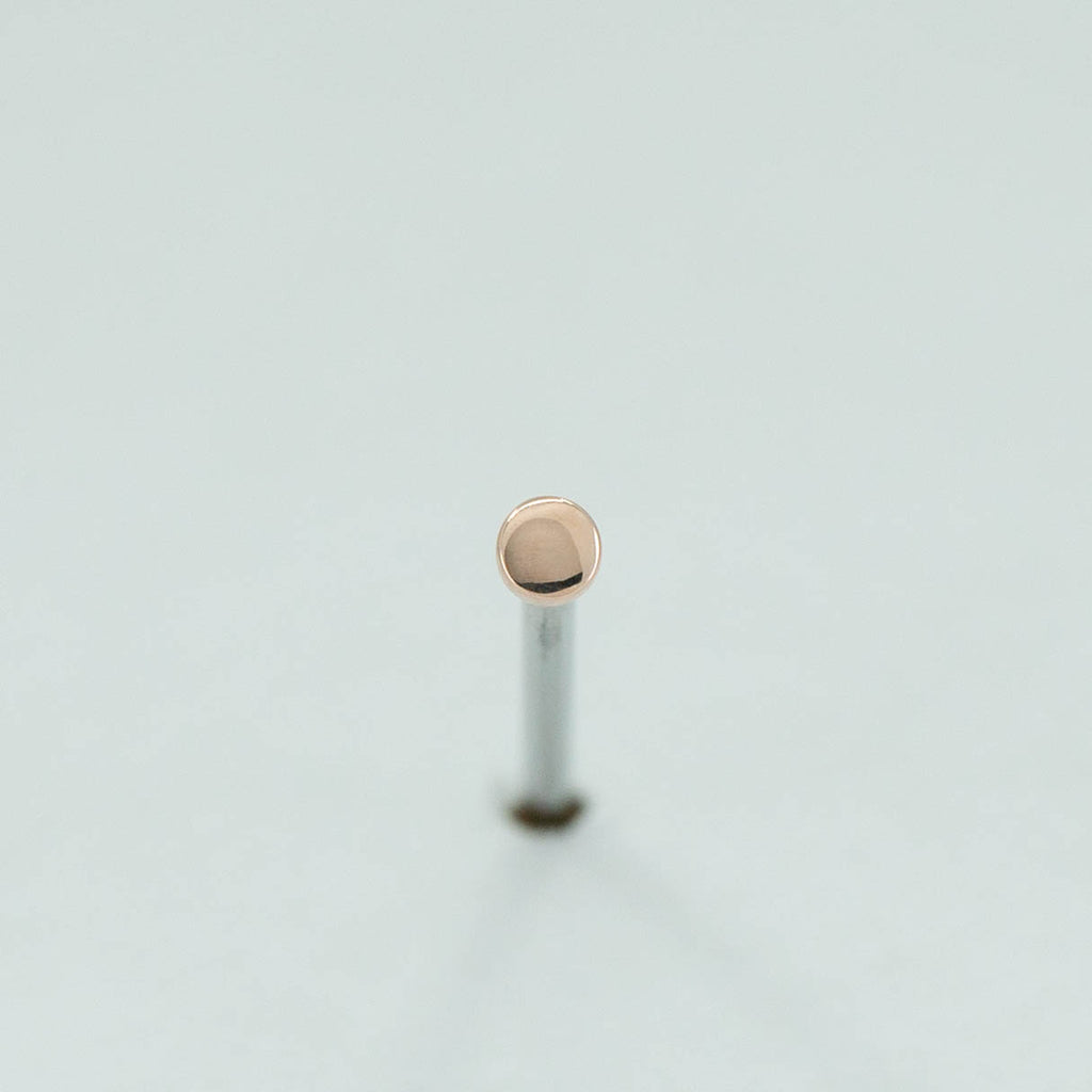 Disk
