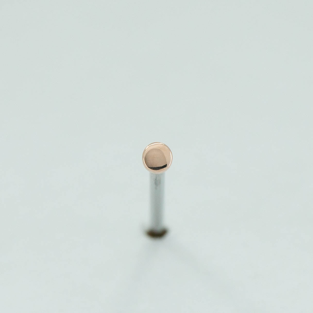 Disk