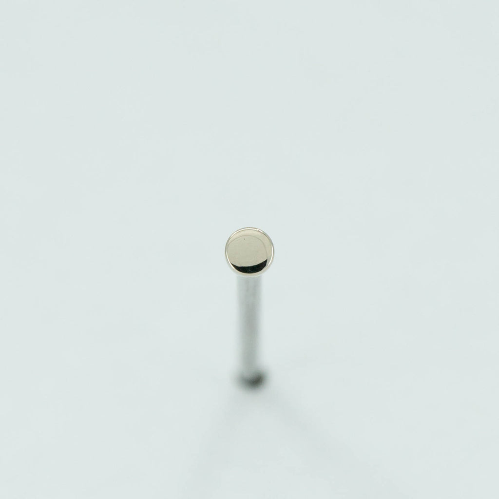 Disk