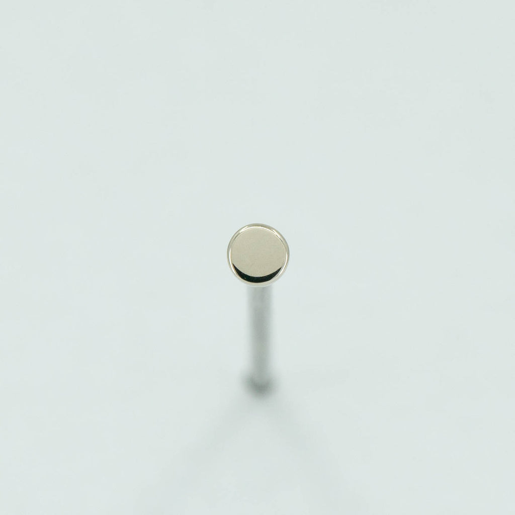 Disk