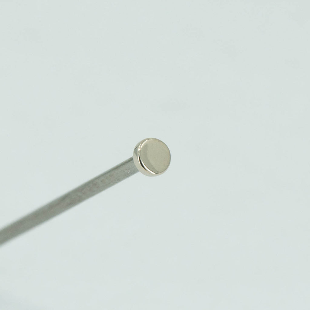 Disk