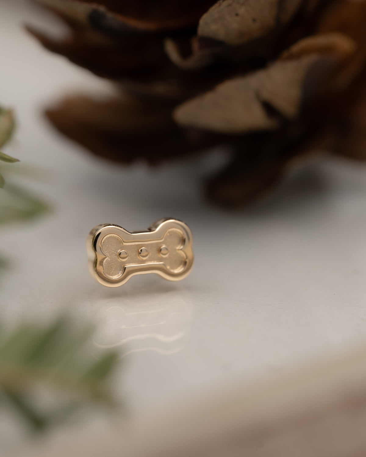 Dog Bone