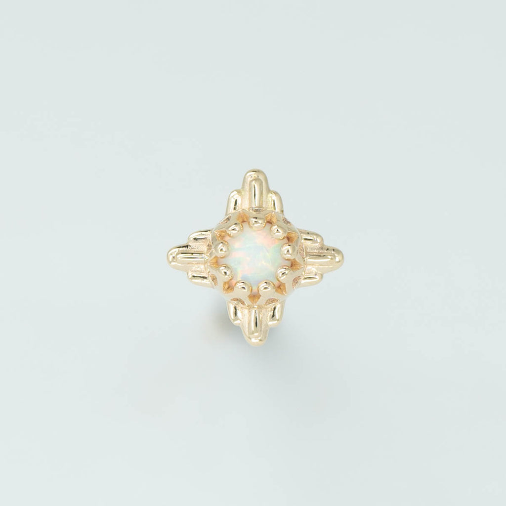 Desert Crown Prong