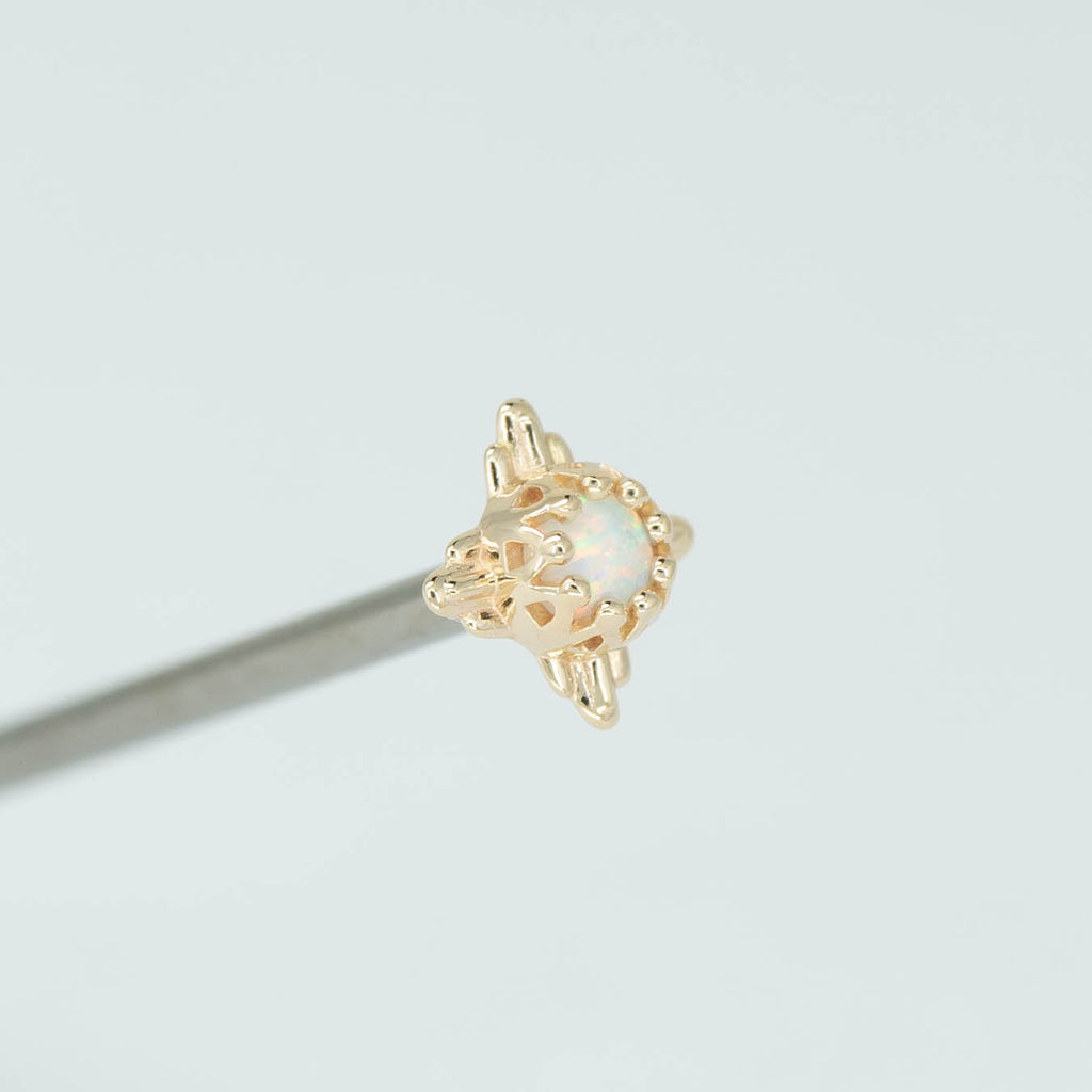 Desert Crown Prong