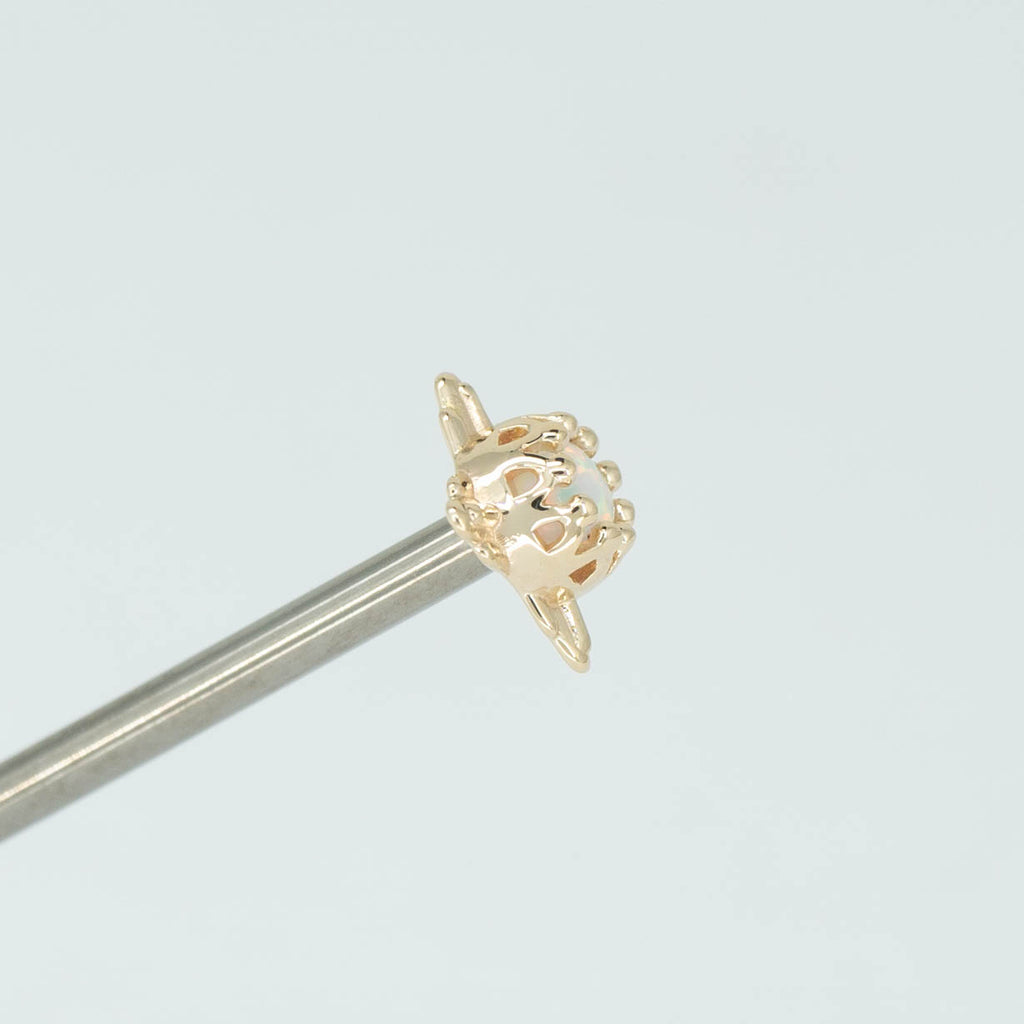 Desert Crown Prong