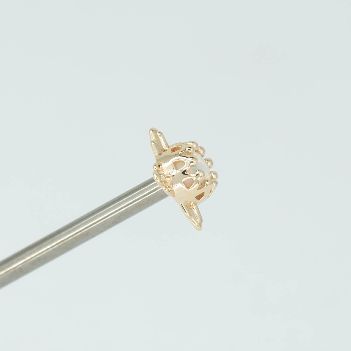 Desert Crown Prong
