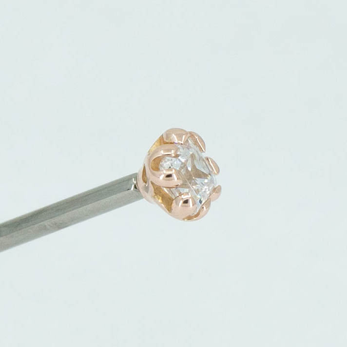 Fancy Princess Prong