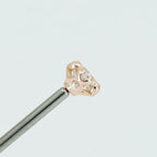 Fancy Princess Prong