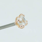 Fancy Princess Prong