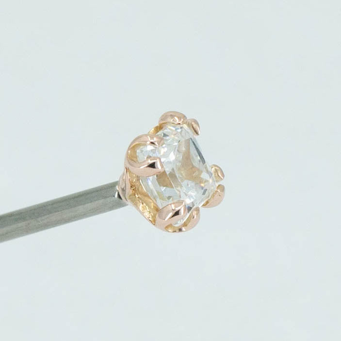 Fancy Princess Prong