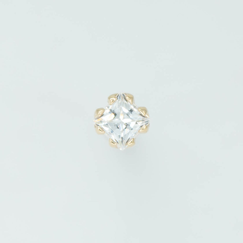 Fancy Princess Prong