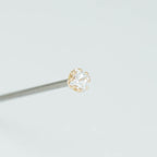 Fancy Princess Prong