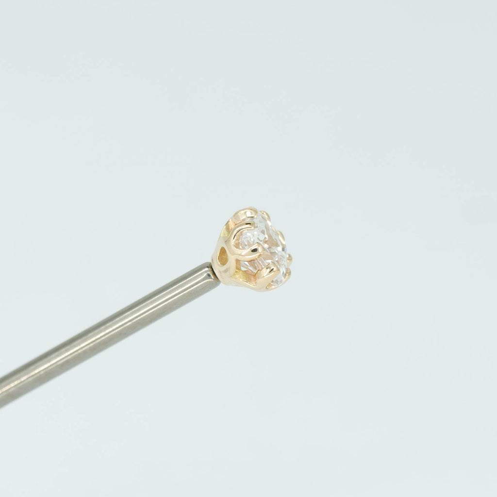 Fancy Princess Prong