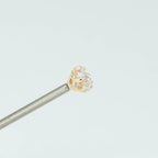 Fancy Princess Prong