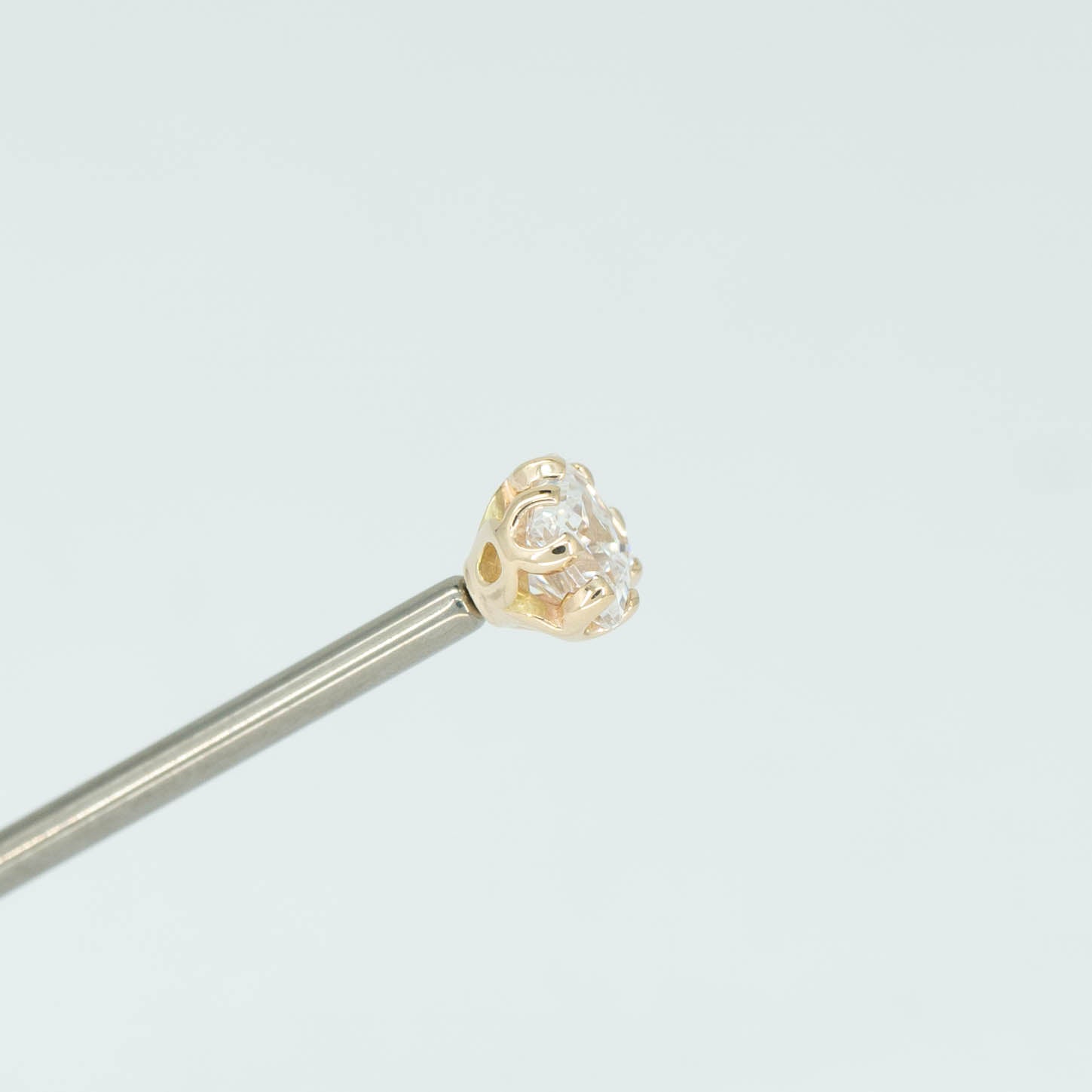 Fancy Princess Prong