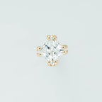 Fancy Princess Prong