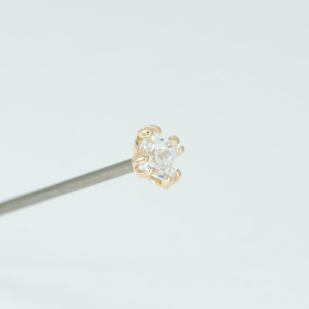 Fancy Princess Prong