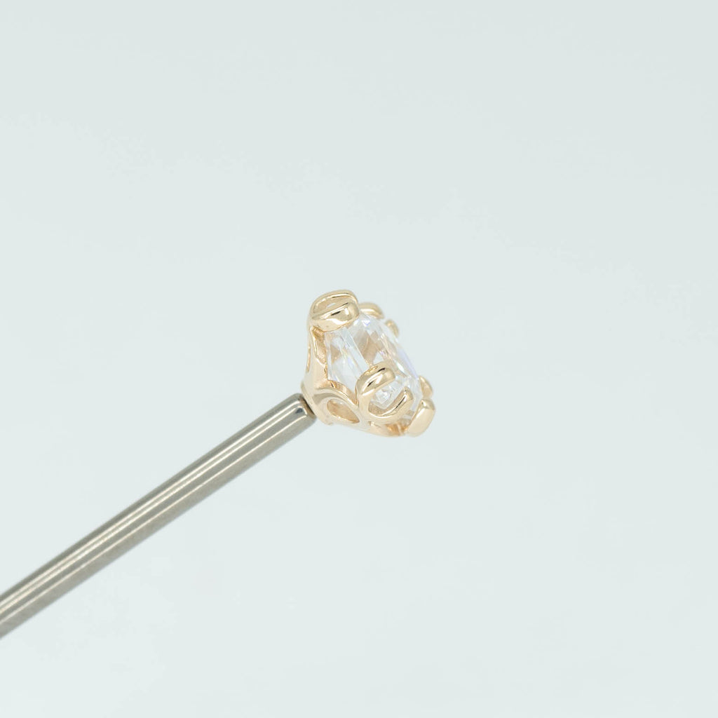 Fancy Princess Prong