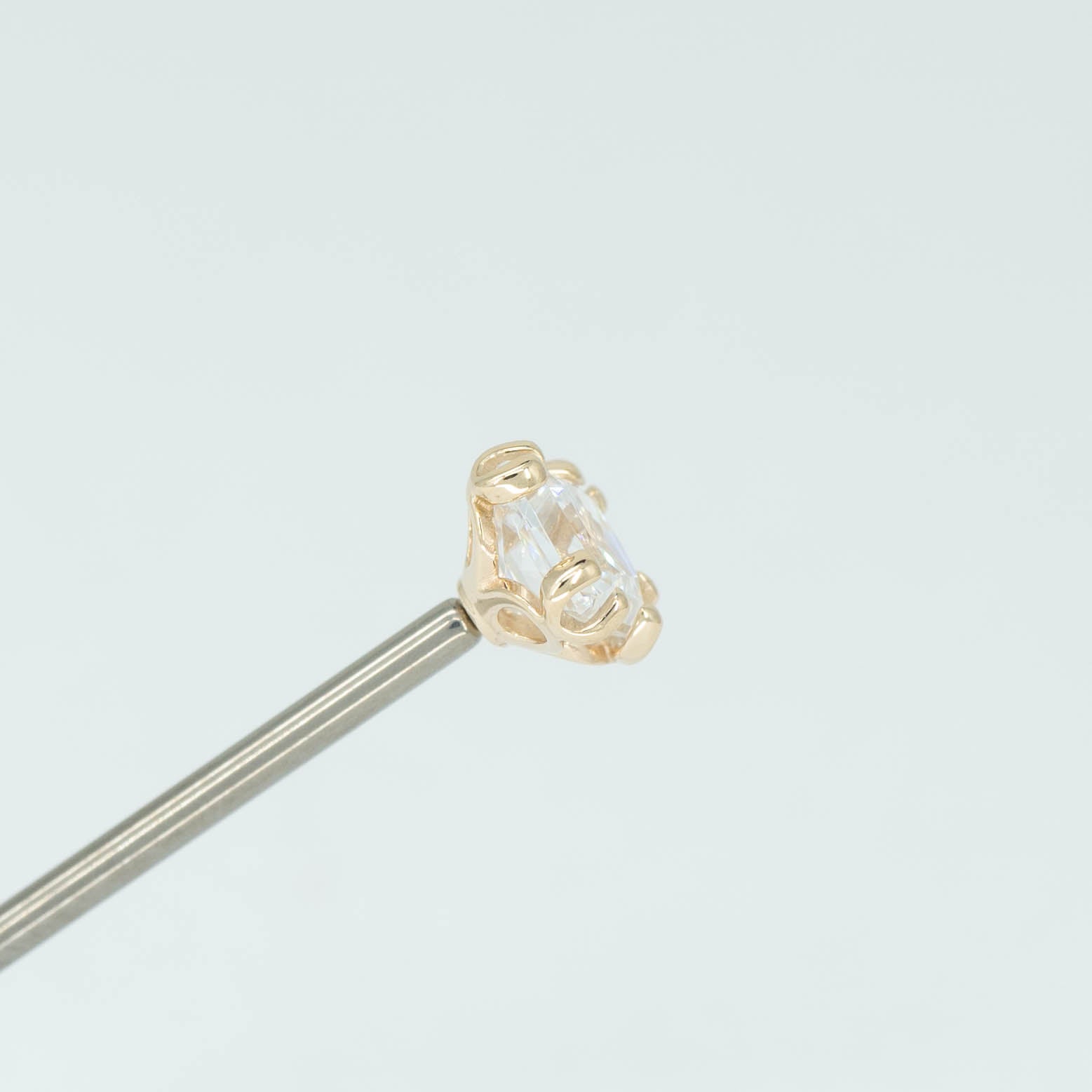 Fancy Princess Prong