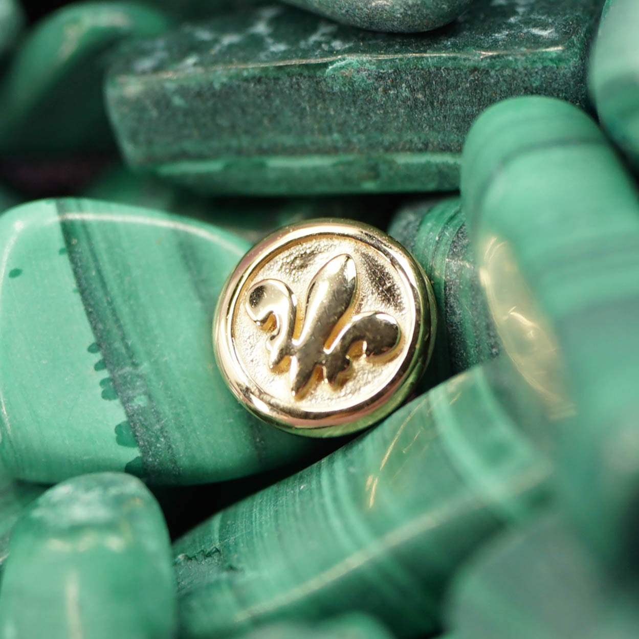 Fleur de Lis Coin