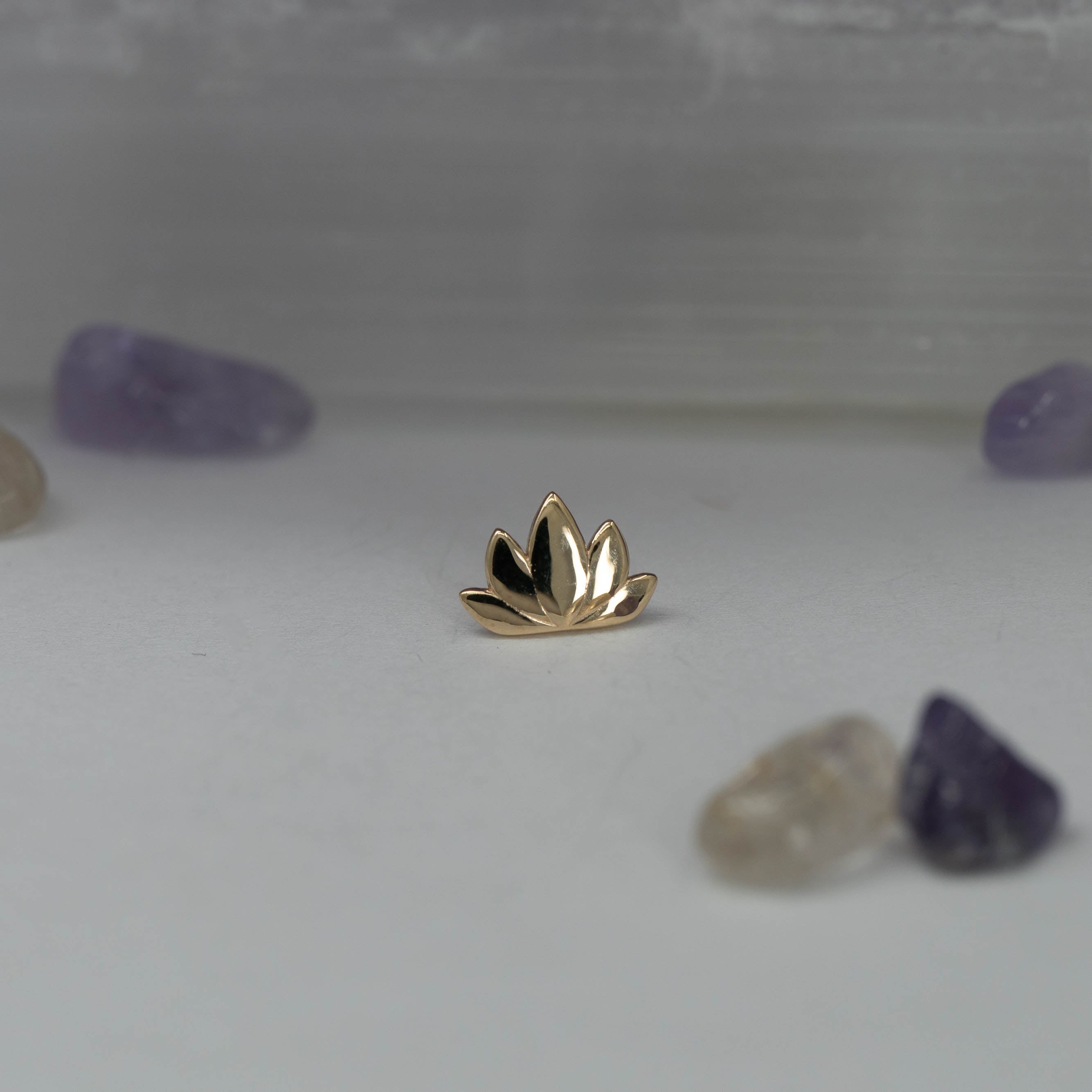 Lotus