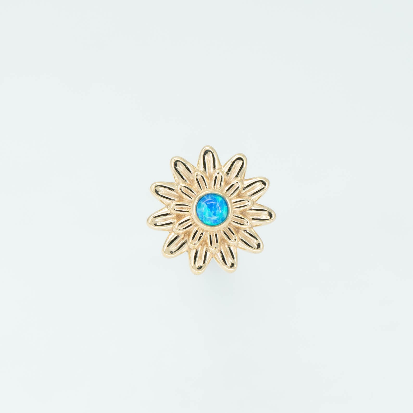 Chrysanthemum
