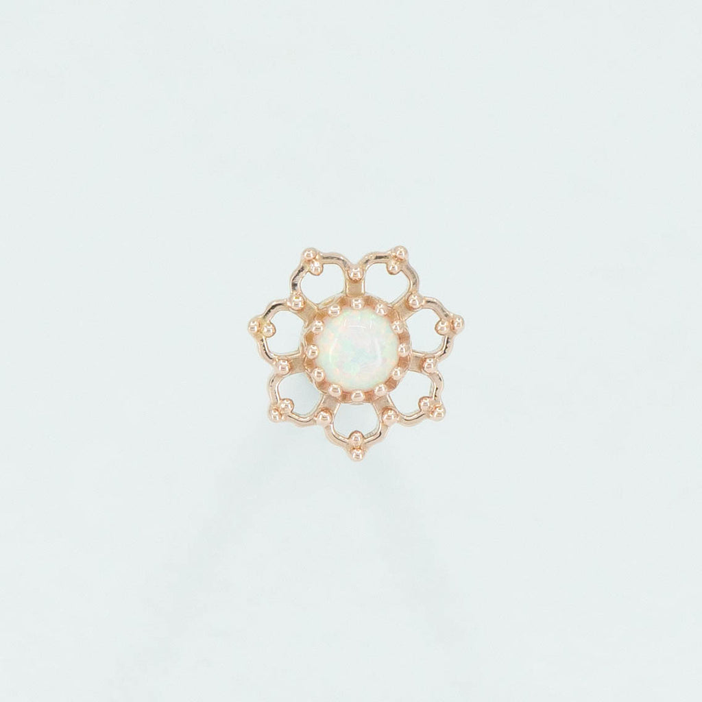Open Flower