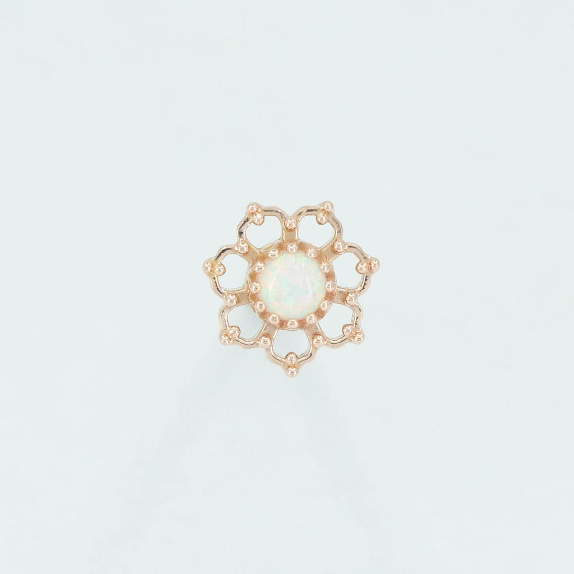 Open Flower