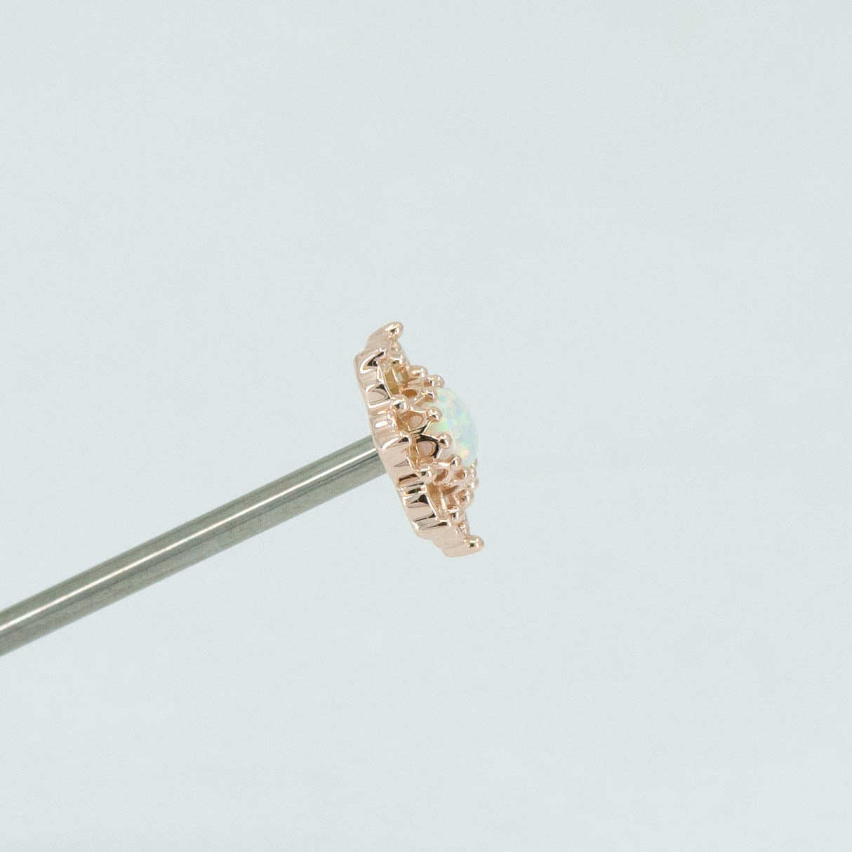 Open Flower
