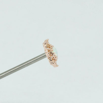 Open Flower