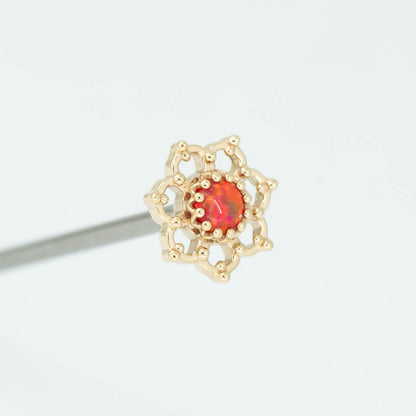 Open Flower