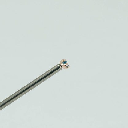 Prong Setting