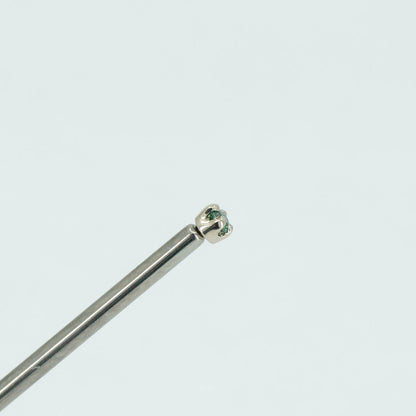 Prong Setting