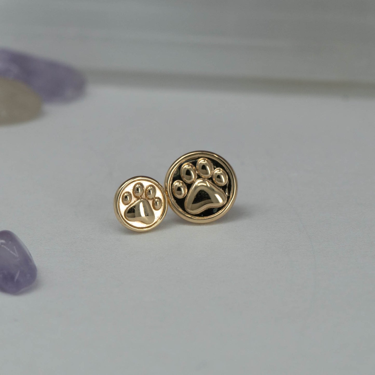 Paw Coin