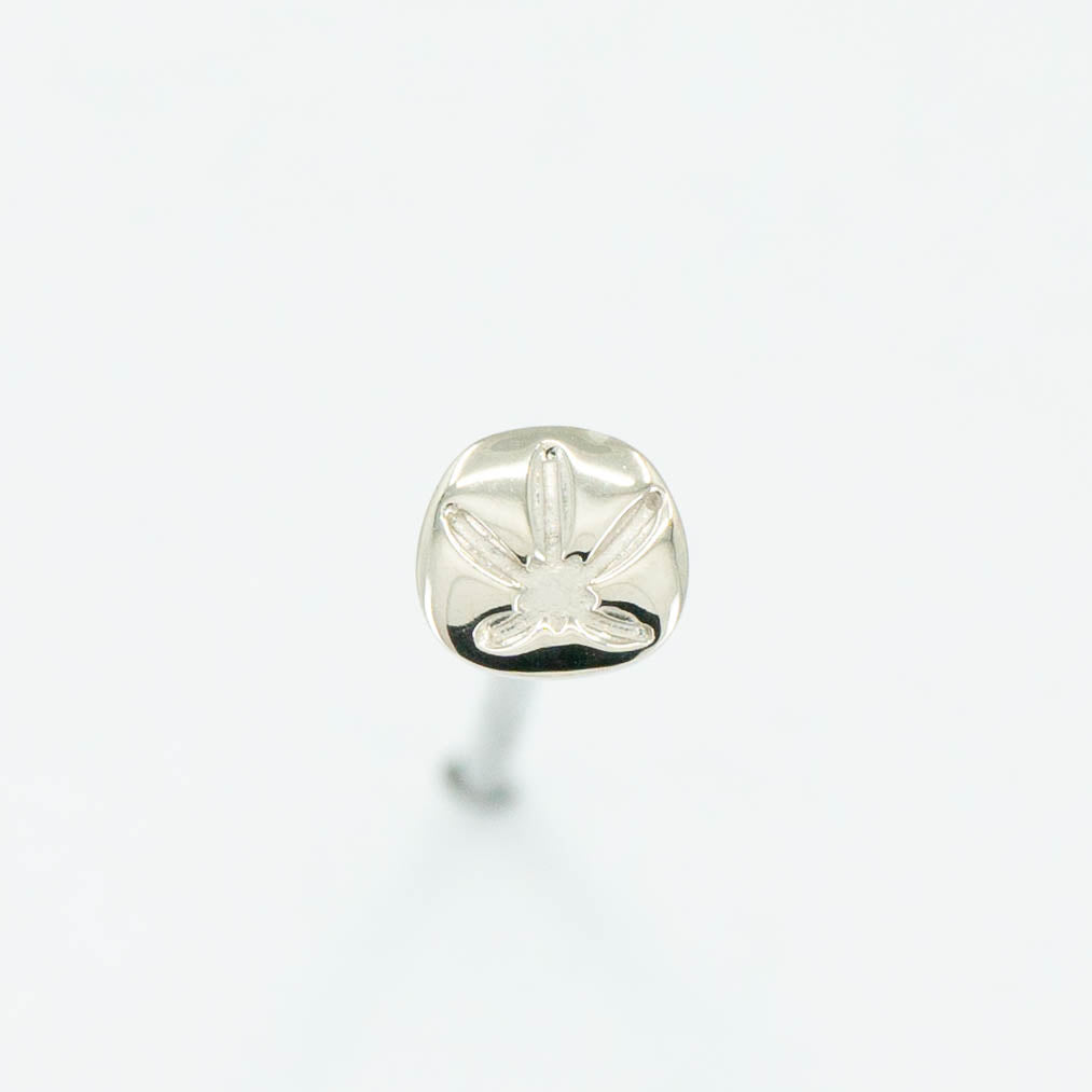 Sand Dollar