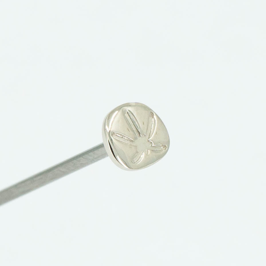 Sand Dollar