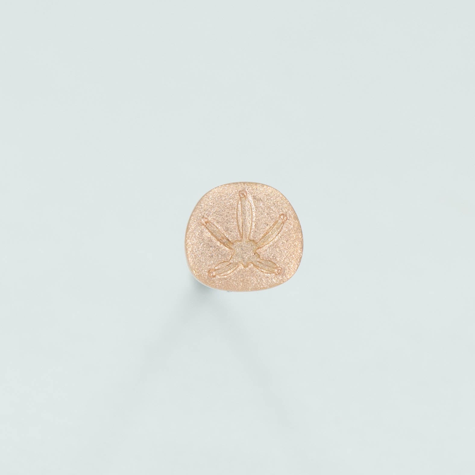 Sand Dollar