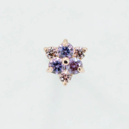 Senarius Flower