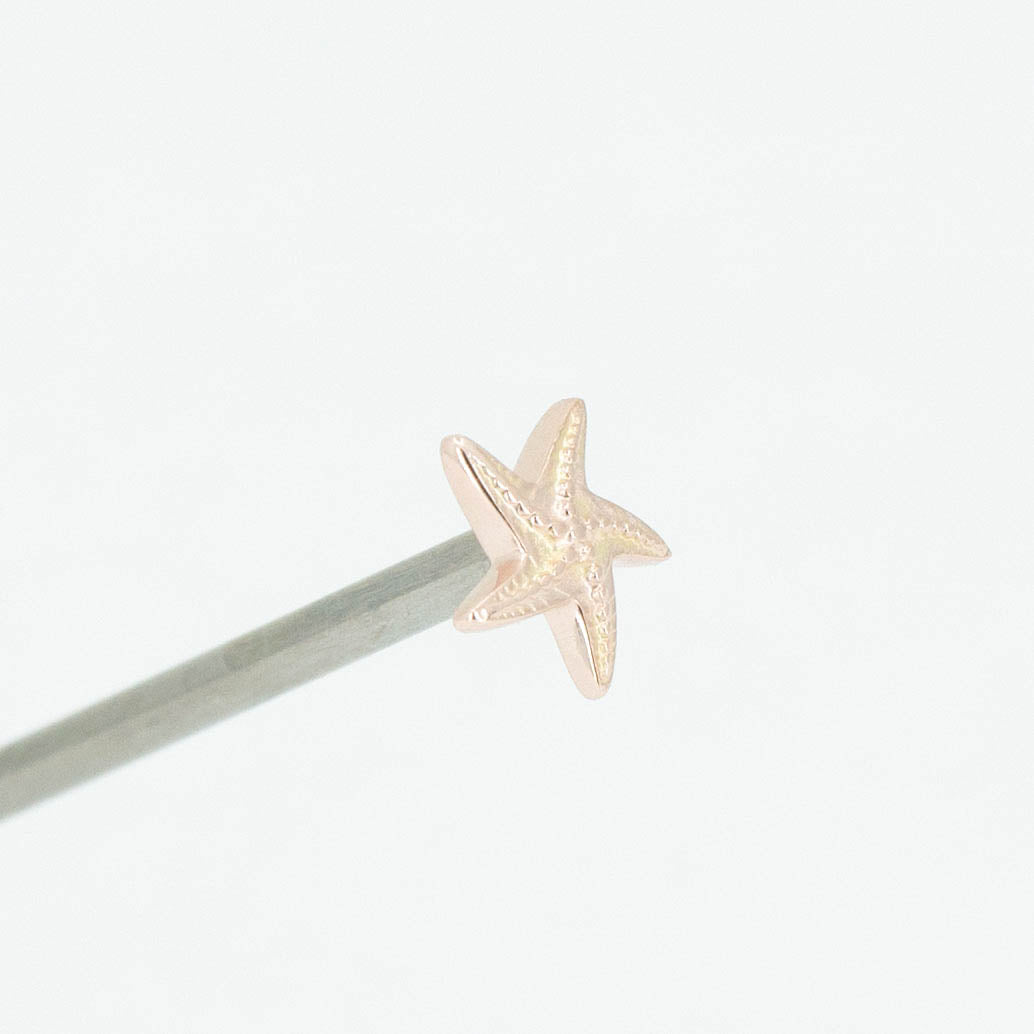 Starfish