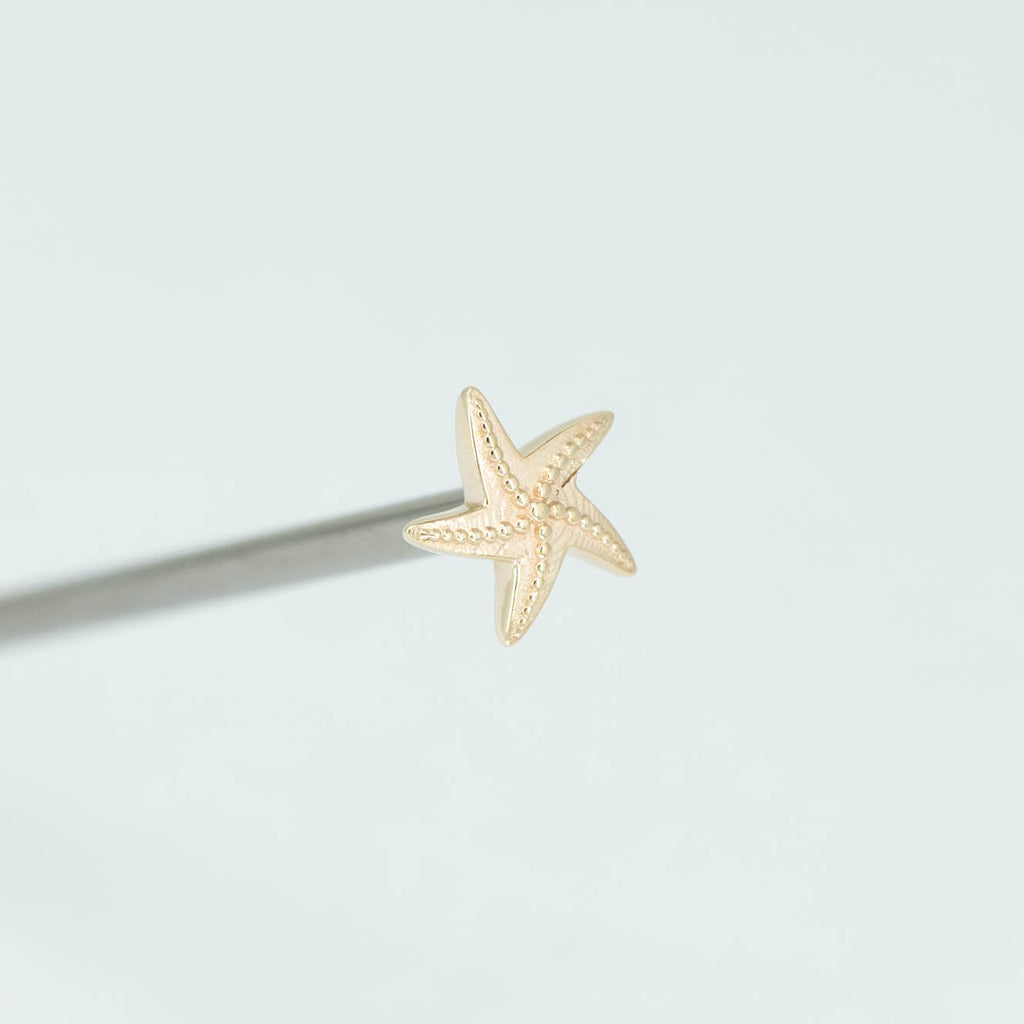 Starfish
