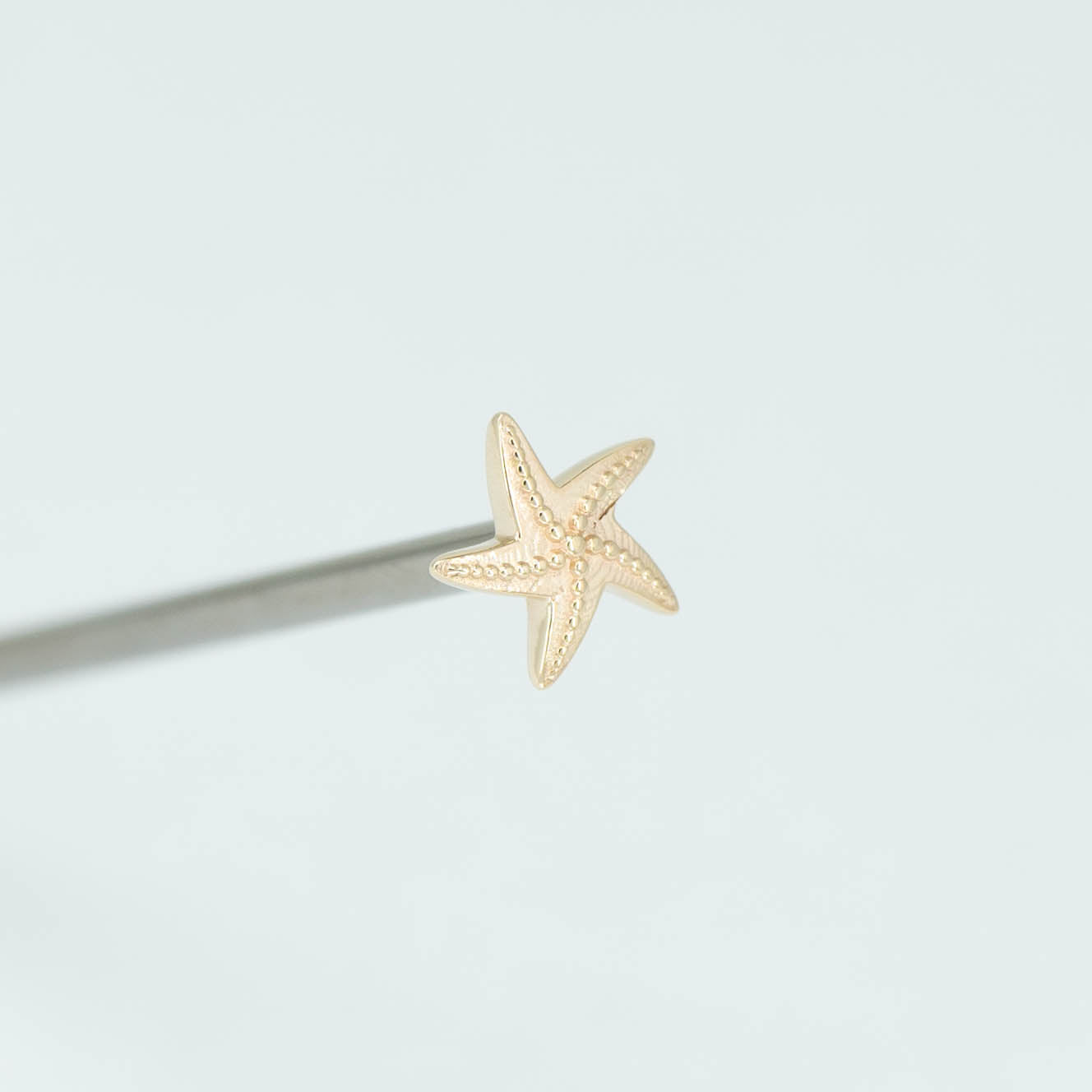 Starfish